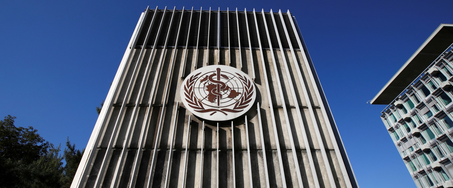 What impact have public health initiatives had on recent medical news stories?
