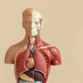 What are the most interesting medical news stories?