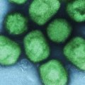 How has research and development been impacted by recent medical news stories?